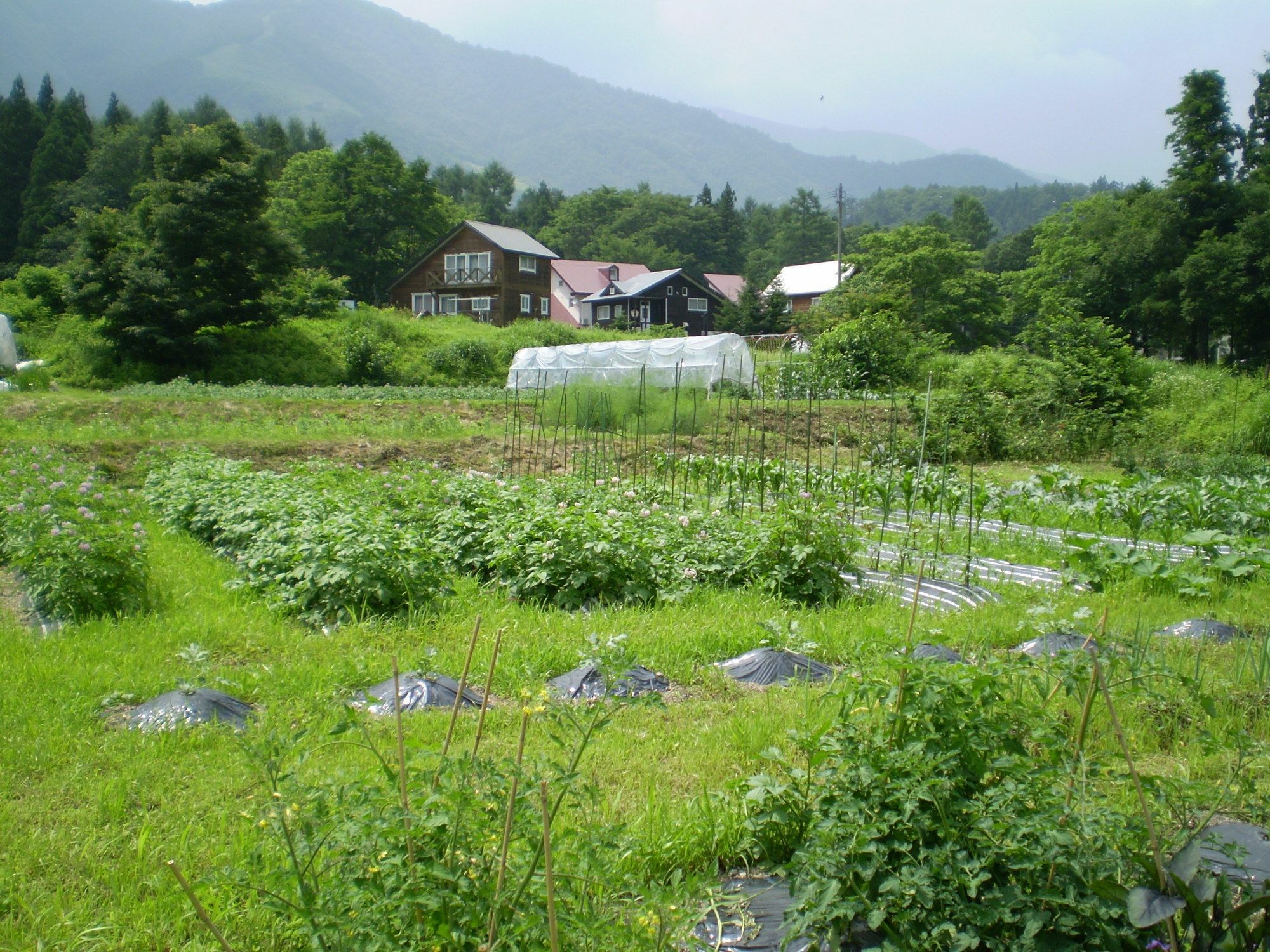ペンション ちゃうちゃう Hakuba Exterior foto
